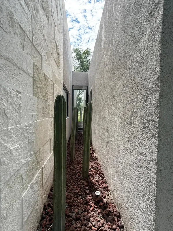 Jardín decorativo que separa las suites del área social
